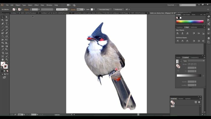 xóa nền trong illustrator: các kỹ thuật cắt ghép chuyên nghiệp và hiệu quả